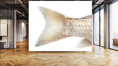 fish tail on a white background. macro Wall mural