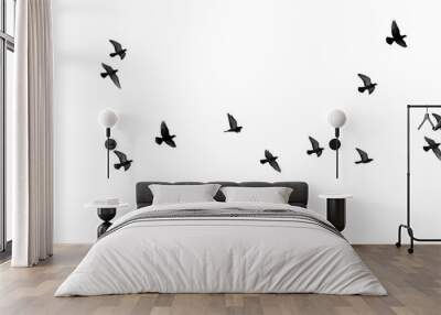 flock of pigeons on a white background Wall mural