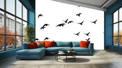 flock of pigeons on a white background Wall mural