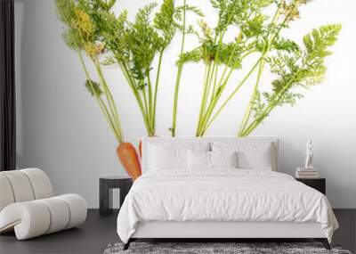 Fresh ripe carrots on a white background Wall mural