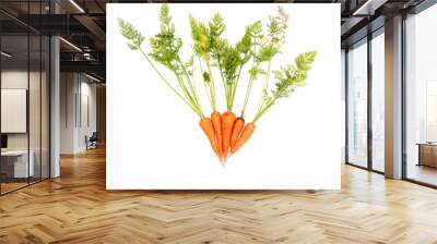 Fresh ripe carrots on a white background Wall mural