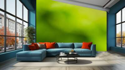 Green nature bokeh as abstract background Wall mural