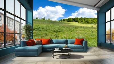 Hills of green grass in summer Wall mural