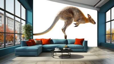 Kangaroo isolated on white background Wall mural