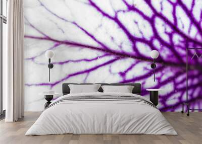 Lines on the petal of a purple flower. Wall mural