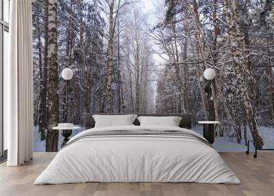 Snow road in the forest in winter Wall mural