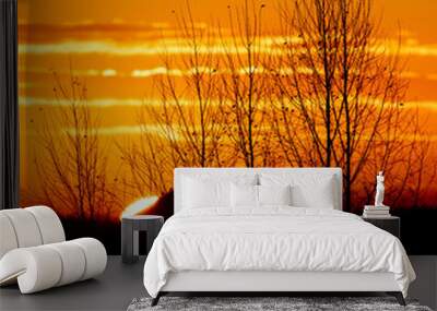 The sun rises on the horizon in the village Wall mural