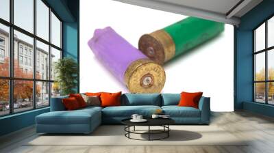 two cartridges on white background Wall mural