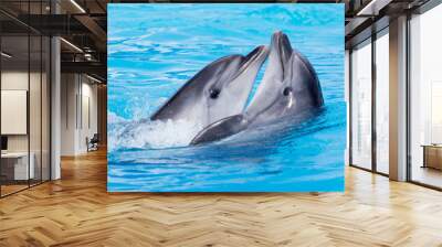 two dolphins dancing in the pool Wall mural