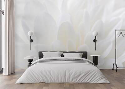 white flower as background Wall mural