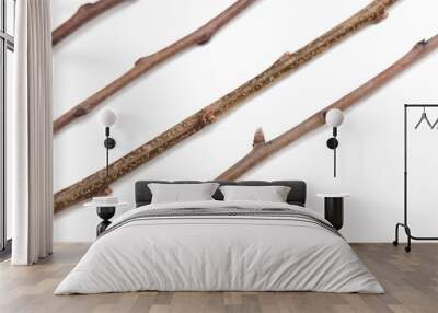 Wooden twigs isolated on a white Wall mural