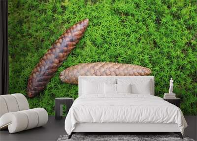 two fir cones on green moss Wall mural