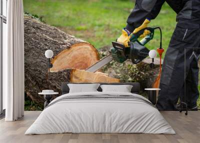 A man in uniform cuts an old tree in the yard with an electric saw. Wall mural