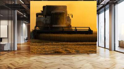 Combine harvester on the field at sunset Wall mural