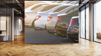 Luxury cars in a rows. VIP taxi Wall mural