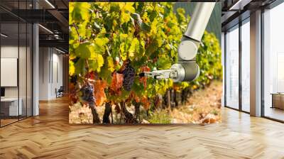 The robot arm is working in the vineyard. Smart farming and digital agriculture. Wall mural