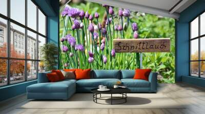 Schnittlauch Allium schoenoprasum Wall mural