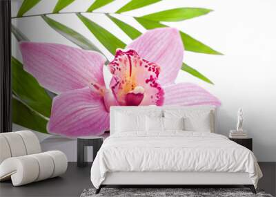 tropical pink orchid plant flower on green leaf Wall mural