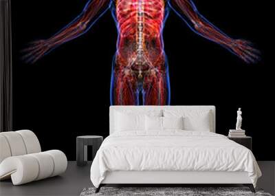 all human body systems Wall mural