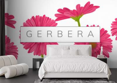 horizontal banner decoration with pink gerbera daisy flowers and text frame. vector illustration for Wall mural