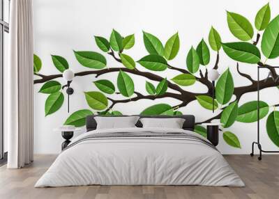 Horizontal banner with tree branch and green leaf, isolated on white. For background, footer, or nature design  Wall mural