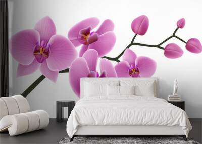 Pink orchid flower branch with buds and flowers. Vector illustration isolated on white, for tropical design, romantic background or floral banner  Wall mural