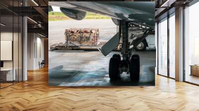 Livestock in wooden boxes secured by nettings being offloaded by a high-loader from the lower cargo hold of a Jumbo Jet Wall mural