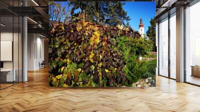 Herbst Efeu Wall mural