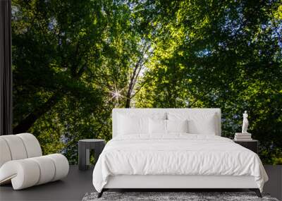 Tree from below. The tree seen from below with the blue sky in the morning sun,blur abstract background Wall mural