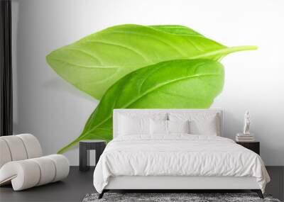 basil leaves Wall mural