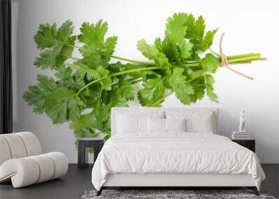 Coriander Wall mural