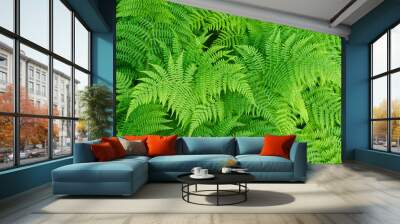 fern background Wall mural