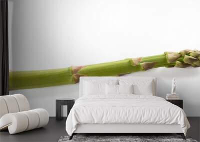 Fresh asparagus Wall mural