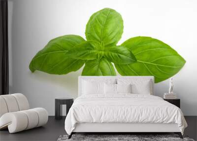 Fresh basil Wall mural