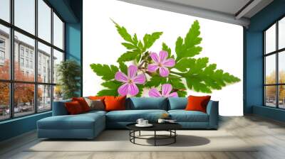 Herb Robert Wall mural