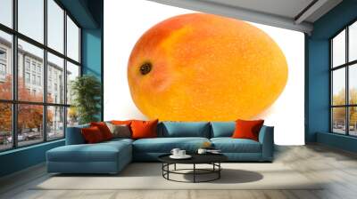 Mango fruit Wall mural