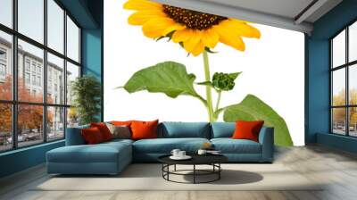 sunflower Wall mural