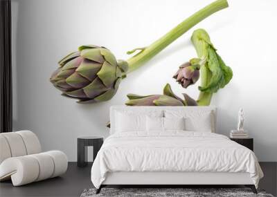 two fresh artichokes Wall mural