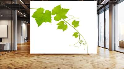 Vine leaves Wall mural