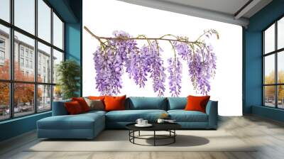 Wisteria flowers Wall mural