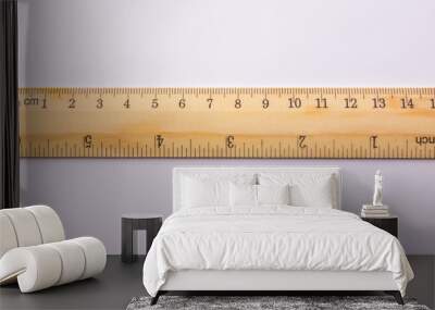 wood ruler Wall mural