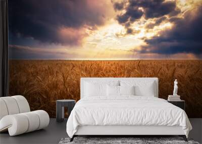 A wheat field on a farm at sunset on the eastern plains of  Colorado. There is a very dramatic sunset. Wall mural