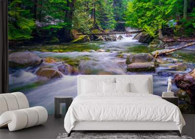 Mountain rapids Wall mural