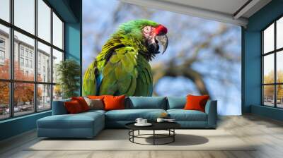 green parrot Wall mural