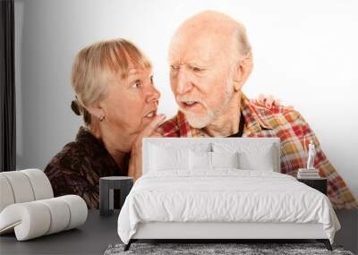 senior woman sharing information with skeptical man Wall mural