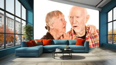 senior woman sharing information with skeptical man Wall mural