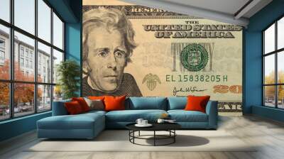 20 dollars Wall mural