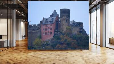 Old Castle with New Addition on Rhine  Wall mural