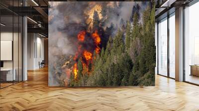 Pine Gulch Wildfire Colorado Wall mural