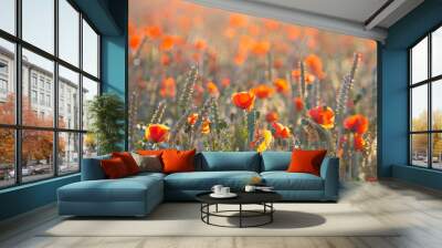 poppy field  Wall mural